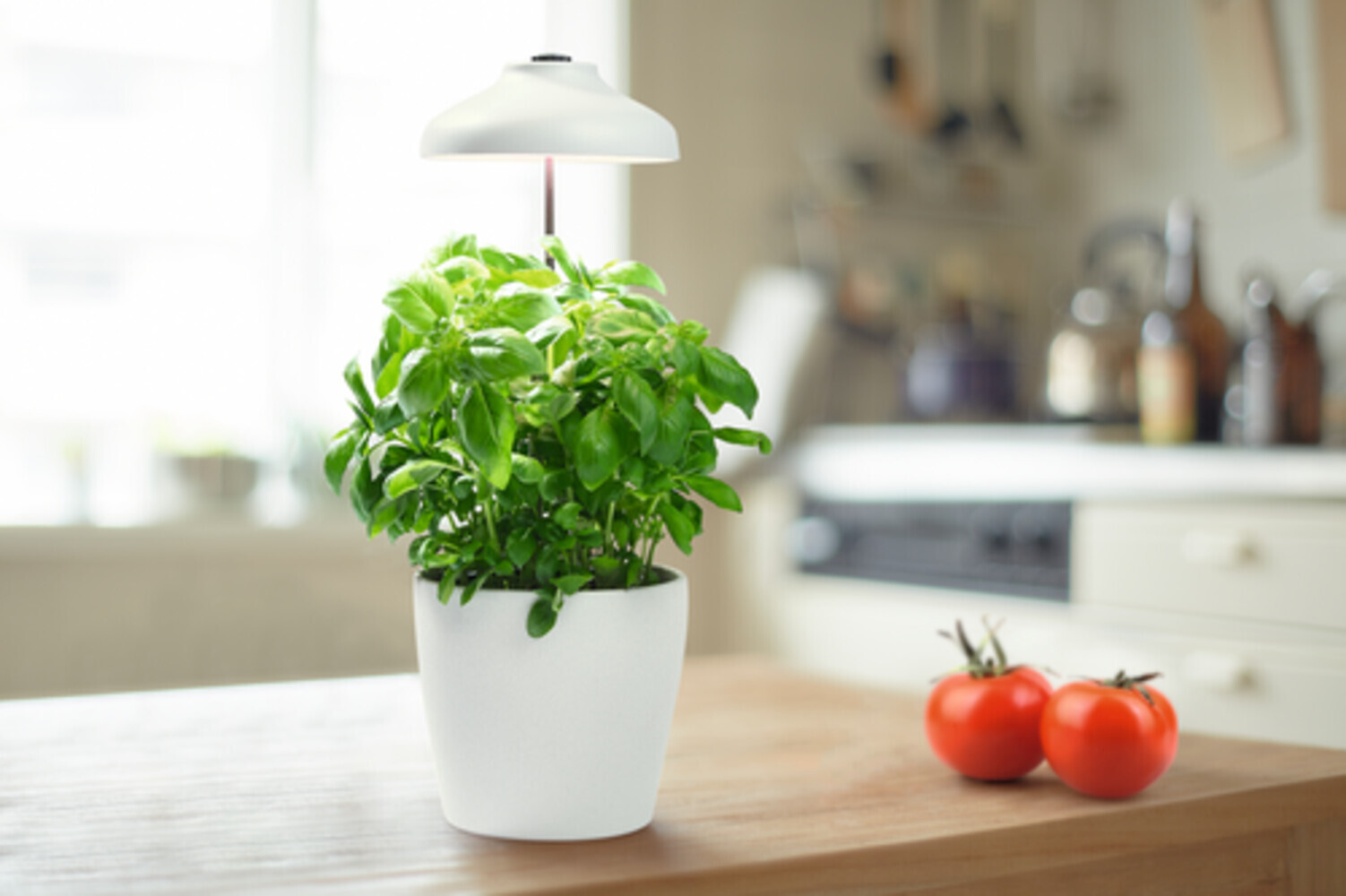 Innovatives LEDVANCE Indoor Garden Umbrella zur effizienten Beleuchtung