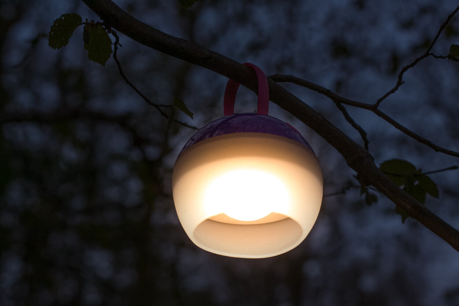 Hochwertiges lila LED Camping Light von LED Universum