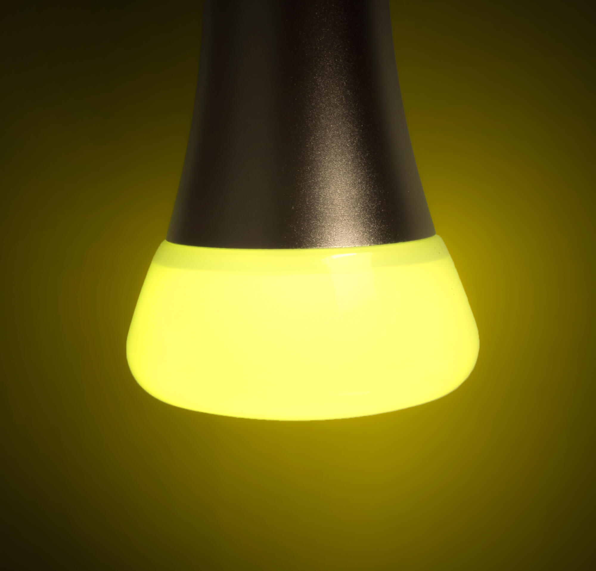 RGBW LED Bulb 10W E27 dimmbar