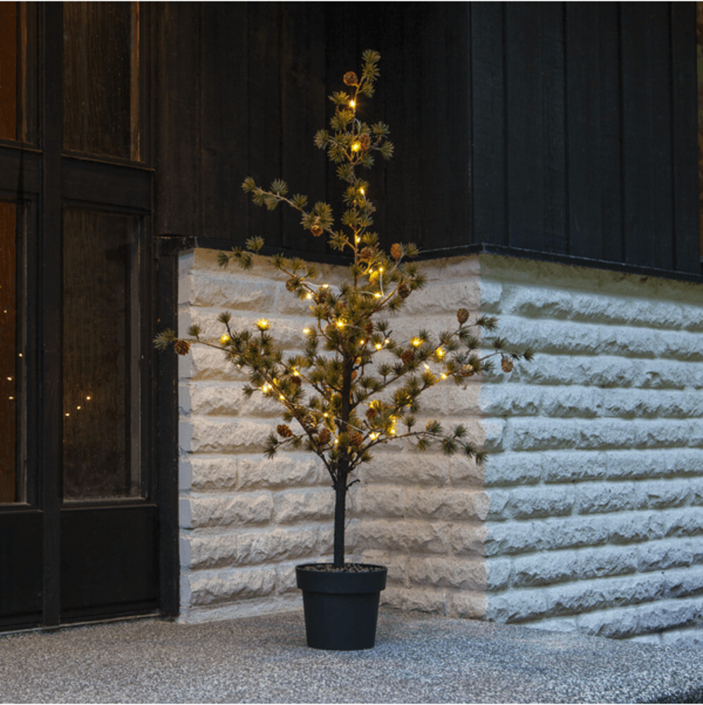 Star Trading 606-81 LED-Baum Larix ca. 60x117 cm, 40 warmwhite LED,grün,  mit Tannenzapfen, schwarzer Topf, Batterie, Timer, outdoor,Vierfarb-Karton