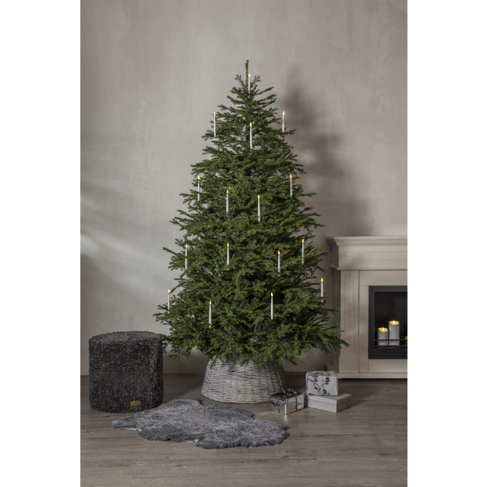 Schick geschmückter grüner Weihnachtsbaum von Star Trading im Vierfarb Karton