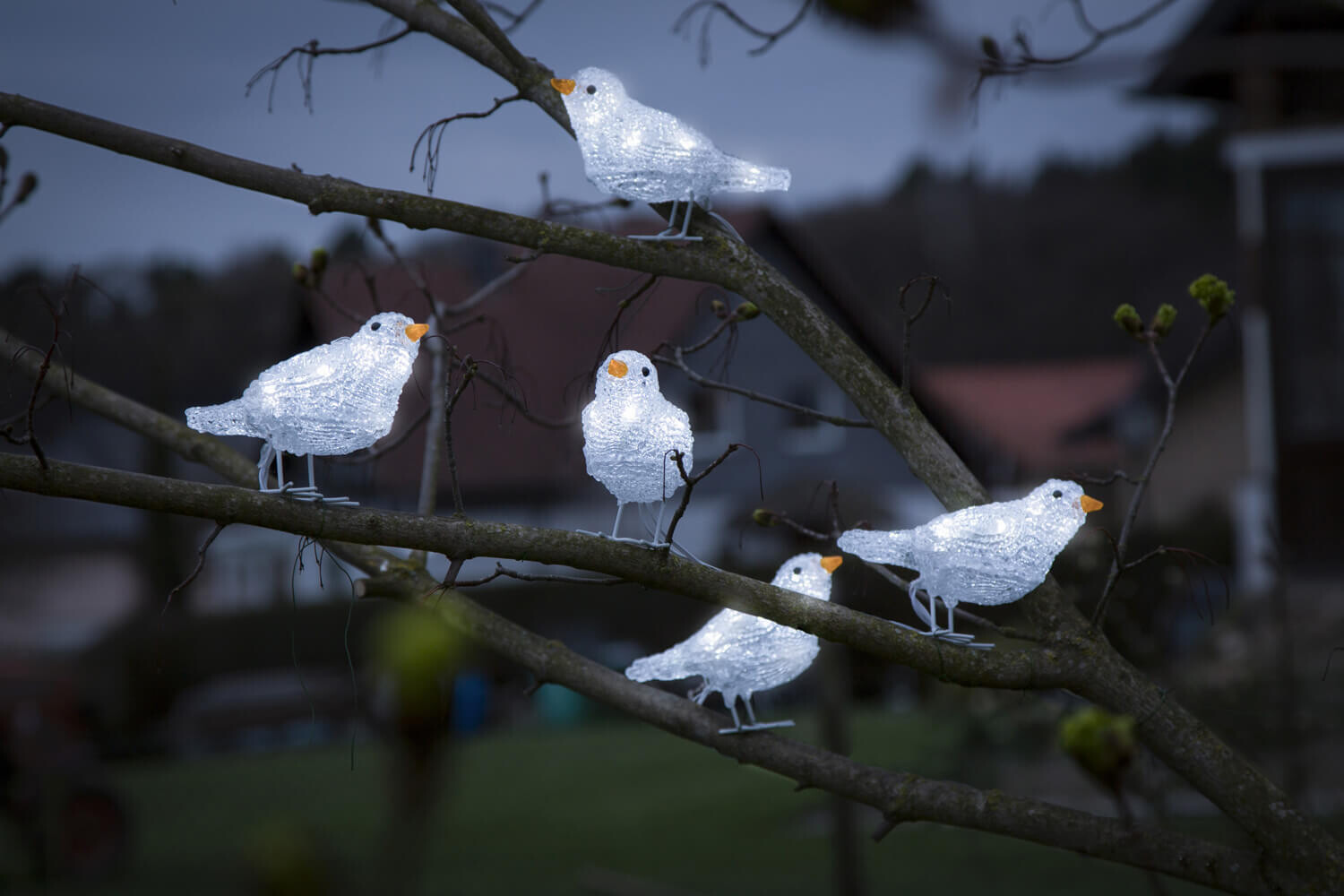 Leuchtende LED Acryl Vögel von Konstsmide