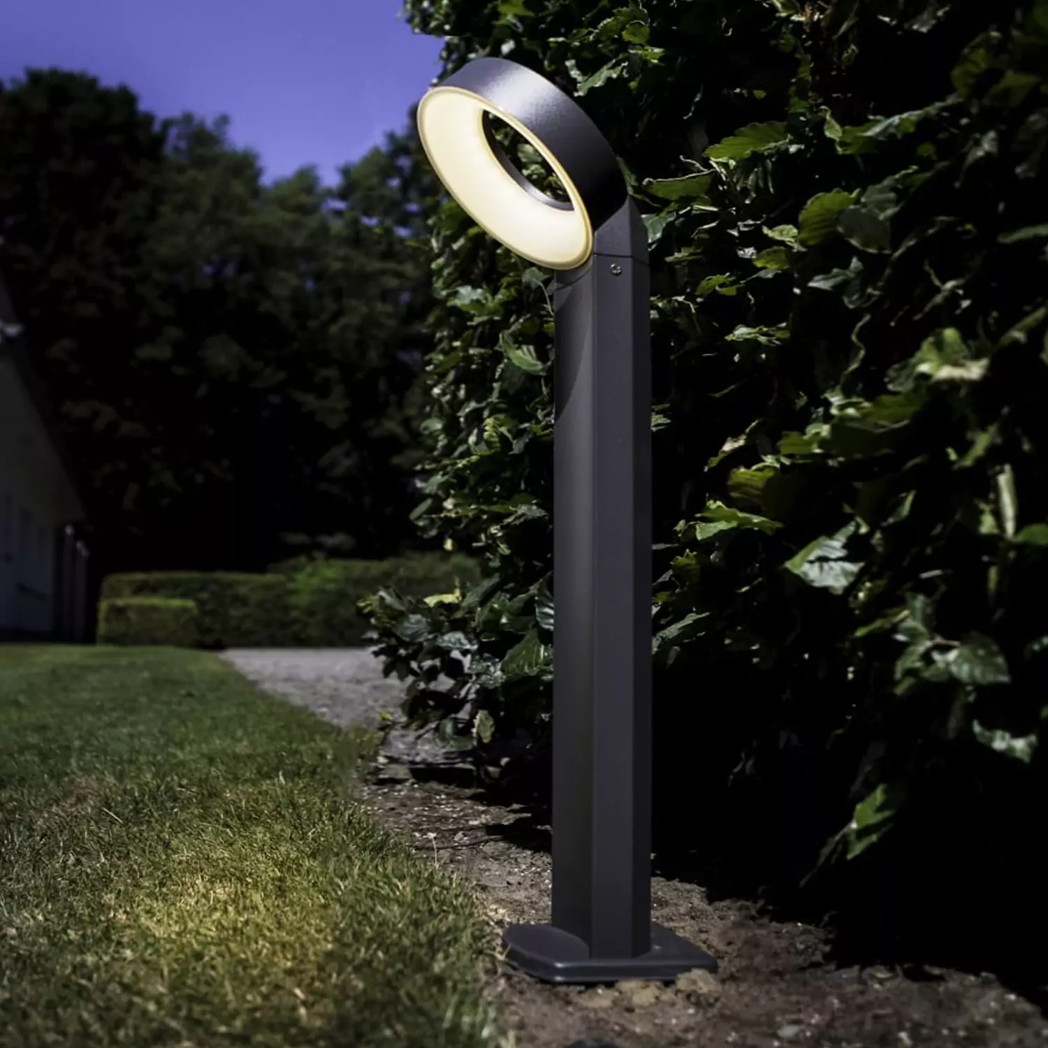 LED Solar-Gartenleuchte Bodenleuchte Teller 0,6W RGBIC (Lauflicht)  Ø165xH31mm