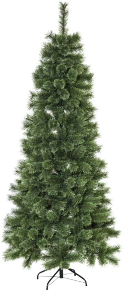 Prächtiger grüner Weihnachtsbaum von Star Trading